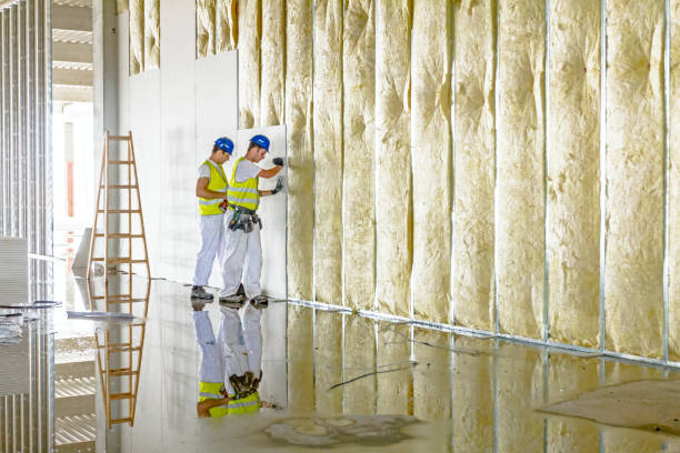 Best Insulation Maintenance and Repair in Lowell, AR